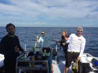 Great day of scuba diving in Key Largo with Rainbow Reef on spiegel grove tropical odyssey 2017 02 02 r3798 1