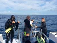Great day of scuba diving in Key Largo with Rainbow Reef on spiegel grove tropical odyssey 2017 02 02 r3799 1