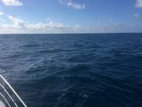 Great day of scuba diving in Key Largo with Rainbow Reef on spiegel grove tropical odyssey 2017 02 07 r3823 1