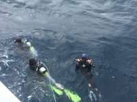 Great day of scuba diving in Key Largo with Rainbow Reef on spiegel grove tropical odyssey 2017 02 16 r3867 1