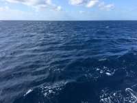 Great day of scuba diving in Key Largo with Rainbow Reef on uscgc duane tropical adventure 2017 02 10 r3836 1