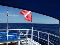 Great day of scuba diving in Key Largo with Rainbow Reef on uscgc duane tropical adventure 2017 02 20 r3885 1