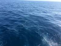 Great day of scuba diving in Key Largo with Rainbow Reef on uscgc duane tropical explorer 2017 02 14 r3857 2