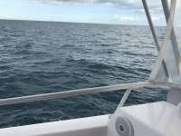 Great day of scuba diving in Key Largo with Rainbow Reef on uscgc duane tropical odyssey 2017 02 01 r3794 1