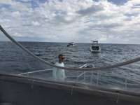 Great day of scuba diving in Key Largo with Rainbow Reef on winch hole tropical odyssey 2017 02 01 r3795 1