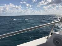 Great day of scuba diving in Key Largo with Rainbow Reef on benwood wreck tropical odyssey 2017 01 21 r3759 1