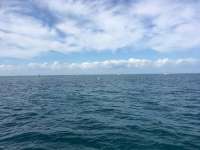 Great day of scuba diving in Key Largo with Rainbow Reef on christ statue tropical explorer 2017 01 27 r3776 1