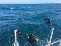 Great day of scuba diving in Key Largo with Rainbow Reef on christmastree cave tropical legend 2017 01 26 r3769 1