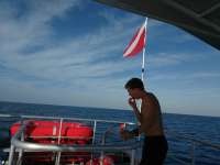 Great day of scuba diving in Key Largo with Rainbow Reef on christmastree cave tropical odyssey 2017 01 26 r3772 1