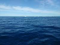 Great day of scuba diving in Key Largo with Rainbow Reef on drift molasses tropical explorer 2017 01 05 r3713 1