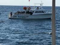 Great day of scuba diving in Key Largo with Rainbow Reef on eagle ray alley tropical adventure 2017 01 05 r3712 1