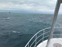 Great day of scuba diving in Key Largo with Rainbow Reef on eagle ray alley tropical legend 2017 01 29 r3782 1