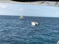 Great day of scuba diving in Key Largo with Rainbow Reef on french reef tropical odyssey 2017 01 04 r3702 1