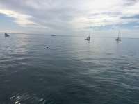 Great day of scuba diving in Key Largo with Rainbow Reef on molasses reef tropical adventure 2017 01 30 r3788 1