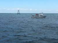 Great day of scuba diving in Key Largo with Rainbow Reef on molasses reef tropical adventure 2017 01 31 r3792 1