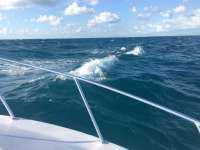 Great day of scuba diving in Key Largo with Rainbow Reef on molasses reef tropical explorer 2017 01 21 r3756 1