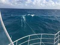 Great day of scuba diving in Key Largo with Rainbow Reef on molasses reef tropical legend 2017 01 01 r3697 1