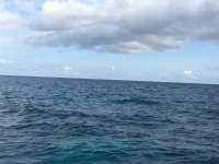 Great day of scuba diving in Key Largo with Rainbow Reef on molasses reef tropical legend 2017 01 06 r3720 1