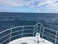 Great day of scuba diving in Key Largo with Rainbow Reef on molasses reef tropical legend 2017 01 15 r3738 1