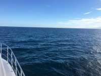 Great day of scuba diving in Key Largo with Rainbow Reef on snapper ledge tropical legend 2017 01 06 r3717 1