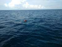 Great day of scuba diving in Key Largo with Rainbow Reef on snapper ledge tropical odyssey 2017 01 06 r3719 1