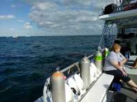 Great day of scuba diving in Key Largo with Rainbow Reef on spanish anchor tropical odyssey 2017 01 31 r3793 1