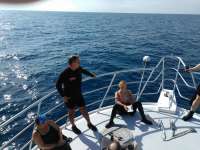 Great day of scuba diving in Key Largo with Rainbow Reef on spiegel grove tropical adventure 2017 01 04 r3703 1