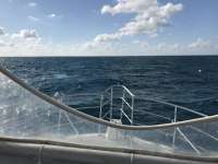 Great day of scuba diving in Key Largo with Rainbow Reef on spiegel grove tropical odyssey 2017 01 21 r3757 1