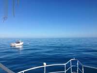 Great day of scuba diving in Key Largo with Rainbow Reef on spiegel grove tropical odyssey 2017 01 25 r3765 1