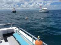 Great day of scuba diving in Key Largo with Rainbow Reef on benwood wreck tropical explorer 2017 07 16 r4506 1