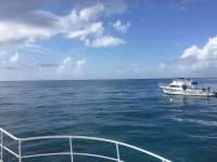 Great day of scuba diving in Key Largo with Rainbow Reef on benwood wreck tropical legend 2017 07 02 r4420 1
