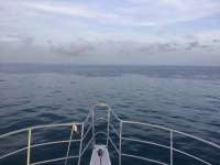 Great day of scuba diving in Key Largo with Rainbow Reef on benwood wreck tropical legend 2017 07 20 r4519 1