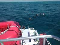 Great day of scuba diving in Key Largo with Rainbow Reef on benwood wreck tropical odyssey 2017 07 01 r4414 1