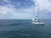 Great day of scuba diving in Key Largo with Rainbow Reef on christ statue tropical adventure 2017 07 23 r4533 1