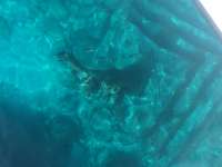 Great day of scuba diving in Key Largo with Rainbow Reef on christ statue tropical adventure 2017 07 28 r4558 1