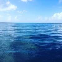 Great day of scuba diving in Key Largo with Rainbow Reef on christmastree cave tropical adventure 2017 07 02 r4421 1