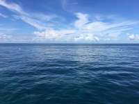 Great day of scuba diving in Key Largo with Rainbow Reef on christmastree cave tropical legend 2017 07 16 r4502 1