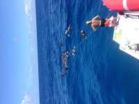Great day of scuba diving in Key Largo with Rainbow Reef on conch wall tropical odyssey 2017 07 05 r4446 1