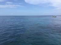 Great day of scuba diving in Key Largo with Rainbow Reef on conch wall tropical odyssey 2017 07 26 r4546 1