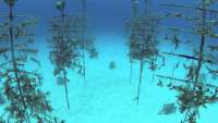 Great day of scuba diving in Key Largo with Rainbow Reef on crf nursery tropical voyager 2017 07 27 r4550 1