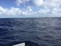 Great day of scuba diving in Key Largo with Rainbow Reef on drift molasses tropical explorer 2017 07 03 r4425 1