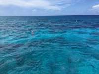 Great day of scuba diving in Key Largo with Rainbow Reef on eagle ray alley tropical adventure 2017 07 04 r4438 1