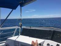 Great day of scuba diving in Key Largo with Rainbow Reef on eagle ray alley tropical adventure 2017 07 27 r4549 1