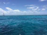 Great day of scuba diving in Key Largo with Rainbow Reef on eagle ray alley tropical explorer 2017 07 03 r4431 1