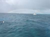 Great day of scuba diving in Key Largo with Rainbow Reef on eagle ray alley tropical legend 2017 07 04 r4435 1