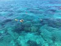 Great day of scuba diving in Key Largo with Rainbow Reef on eagle ray alley tropical legend 2017 07 08 r4461 1