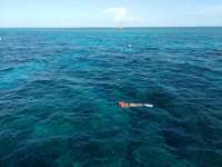 Great day of scuba diving in Key Largo with Rainbow Reef on eagle ray alley tropical legend 2017 07 18 r4510 1
