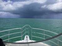 Great day of scuba diving in Key Largo with Rainbow Reef on eagle ray alley tropical odyssey 2017 07 13 r4484 1