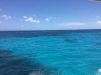 Great day of scuba diving in Key Largo with Rainbow Reef on eagle ray alley tropical odyssey 2017 07 16 r4505 1
