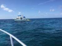 Great day of scuba diving in Key Largo with Rainbow Reef on fire coral cave tropical explorer 2017 07 08 r4460 1